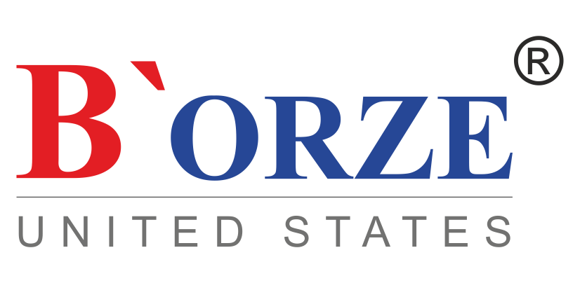 B'orze India